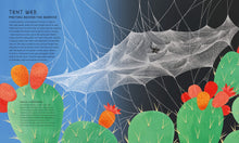 Load image into Gallery viewer, The Secret World Of Spider Webs