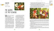 Load image into Gallery viewer, A World Full of Nature Stories: 50 Folk Tales and Legends