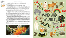 Load image into Gallery viewer, A World Full of Nature Stories: 50 Folk Tales and Legends