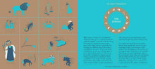 Load image into Gallery viewer, Seeing Stars: A Complete Guide to the 88 Constellations - Hardcover