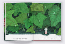 Load image into Gallery viewer, Henry The Snail