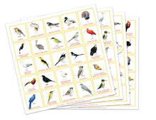 Load image into Gallery viewer, Bird Bingo
