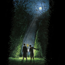Load image into Gallery viewer, Harry Potter and the Goblet of Fire: The Illustrated Edition (Harry Potter, Book 4)