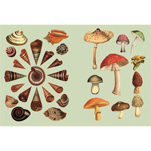 Load image into Gallery viewer, The Antiquarian Sticker Book: Over 1,000 Exquisite Victorian Stickers