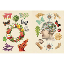 Load image into Gallery viewer, The Antiquarian Sticker Book: Over 1,000 Exquisite Victorian Stickers