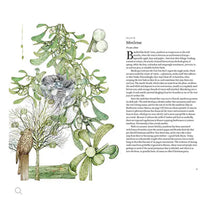 Load image into Gallery viewer, Around The World In 80 Plants