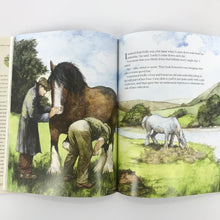 Load image into Gallery viewer, James Herriot’s Treasury for Children