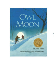 Load image into Gallery viewer, Owl Moon