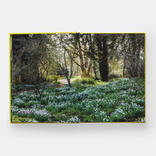 Load image into Gallery viewer, A Year In Bloom
