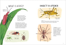 Load image into Gallery viewer, Insect Anatomy
