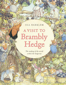 A Visit To Brambly Hedge￼