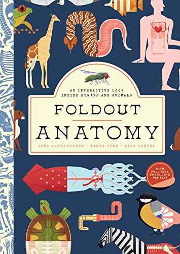 Foldout Anatomy: An Interactive Look Inside Humans