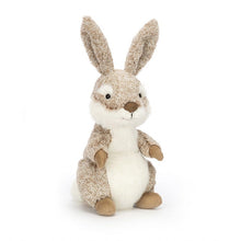 Load image into Gallery viewer, Jellycat Ambrosie Hare
