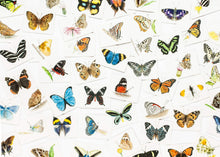 Load image into Gallery viewer, Butterfly Wings: A Matching Game
