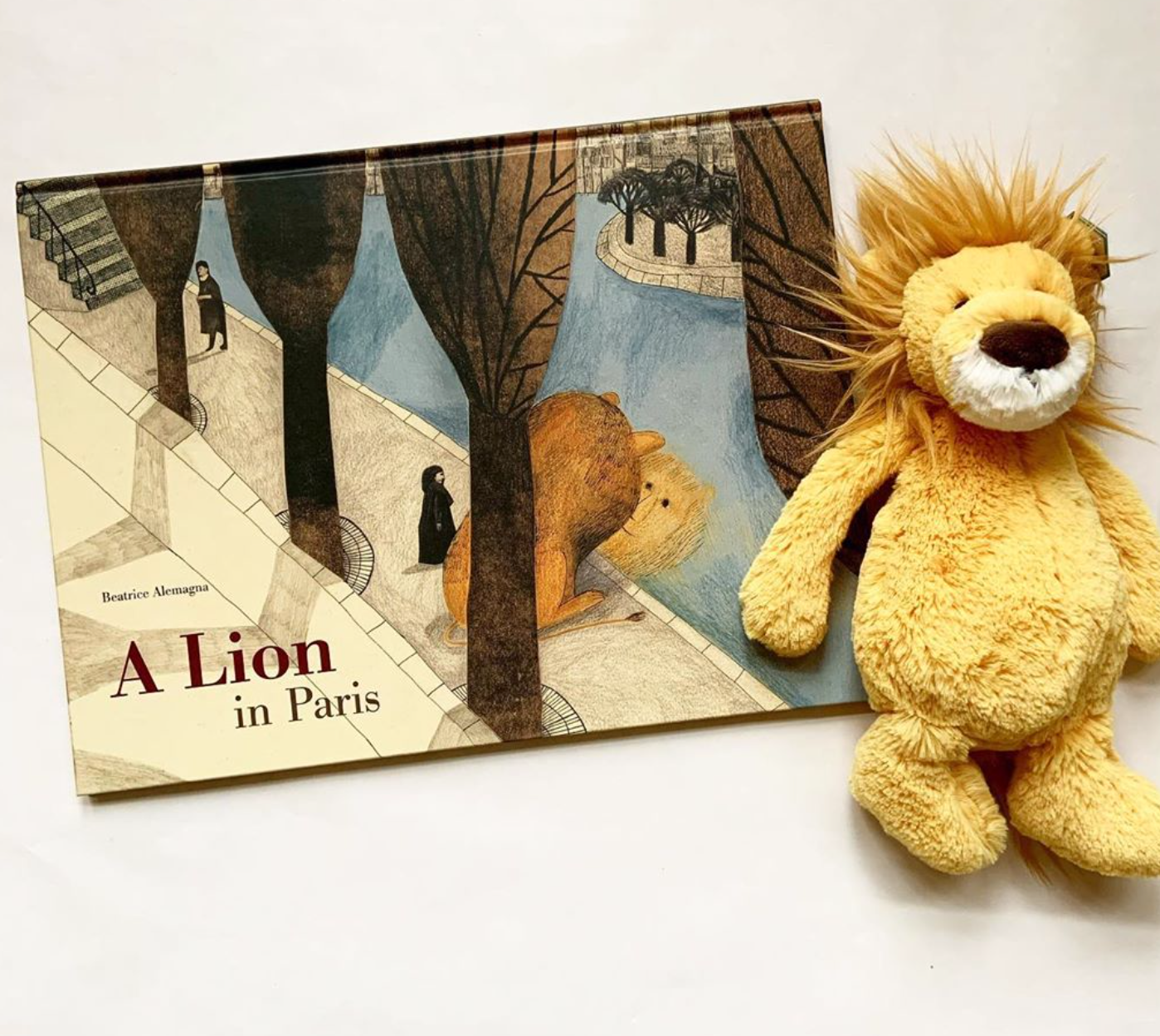 A Lion In Paris by Beatrice Alemagna