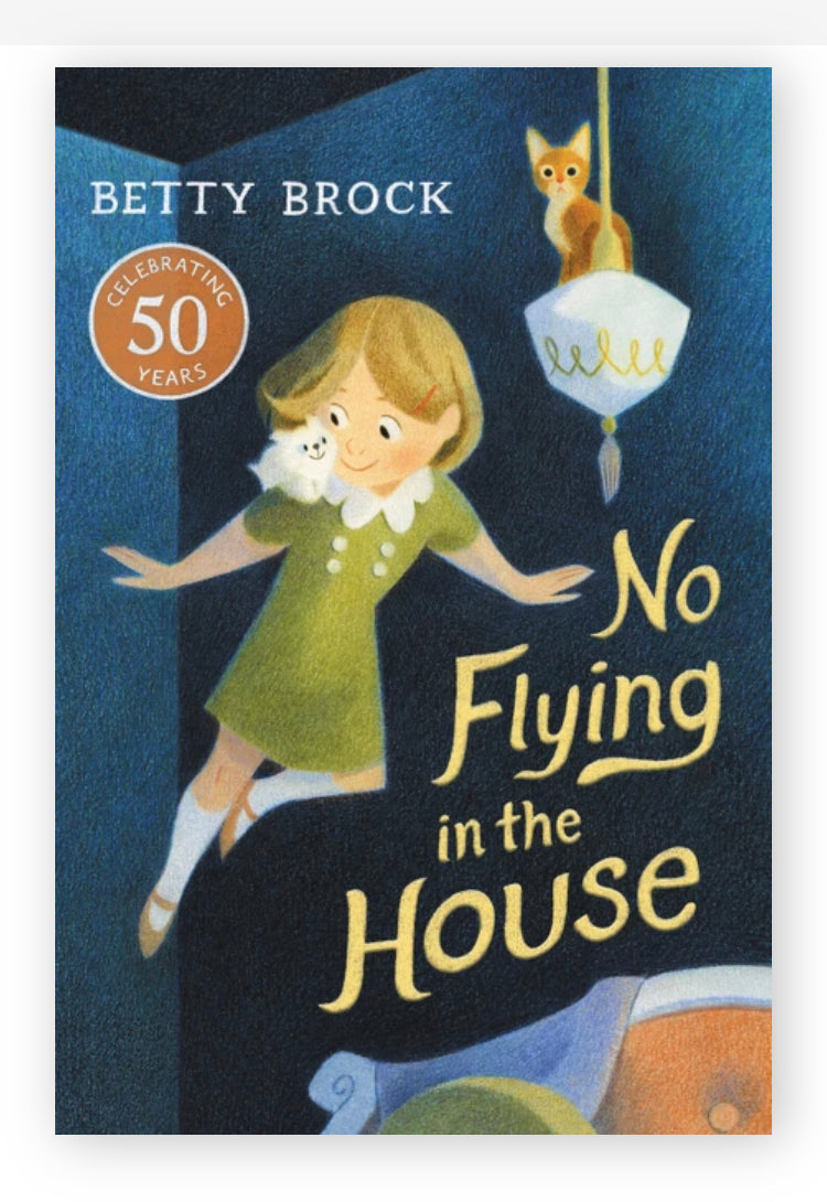 No Flying In The House   (Paperback)