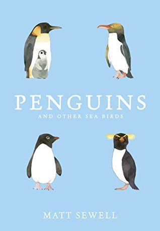 Penguins And Other Sea Birds