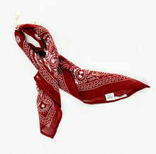 Load image into Gallery viewer, Chan Luu - Scarves
