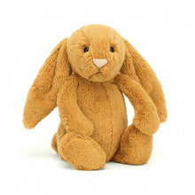 Load image into Gallery viewer, Jellycat Medium Bashful Bunny, Suffy
