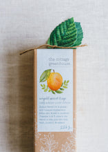 Load image into Gallery viewer, Sungold Apricot &amp; Sage Lotion
